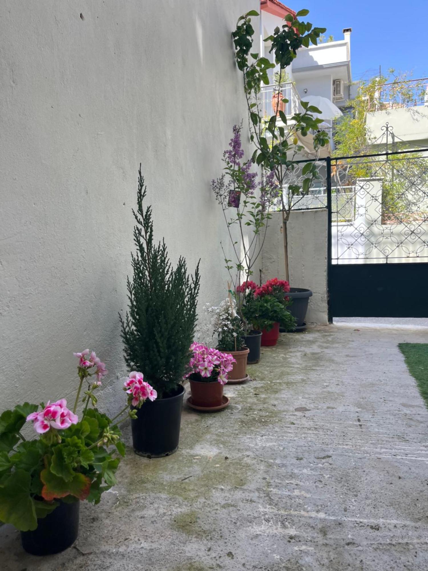 Noa - Designed Garden Studio In The City Center Kalamata Bagian luar foto